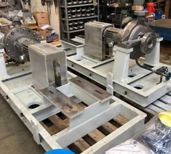 Procurement of Biraghi Pumps
